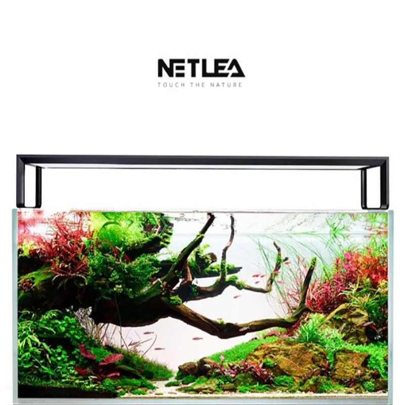Netlea AT5S V3 Smart Wifi APP  - Wifi Led Dimmer reseña y precio