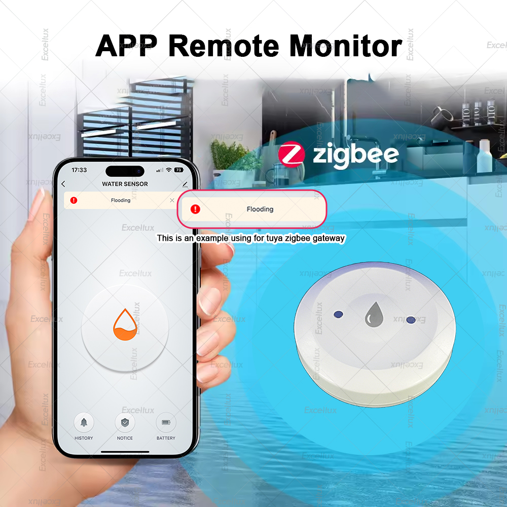 Zigbee Water Detector Leakage  - Smart Home News reseña y precio