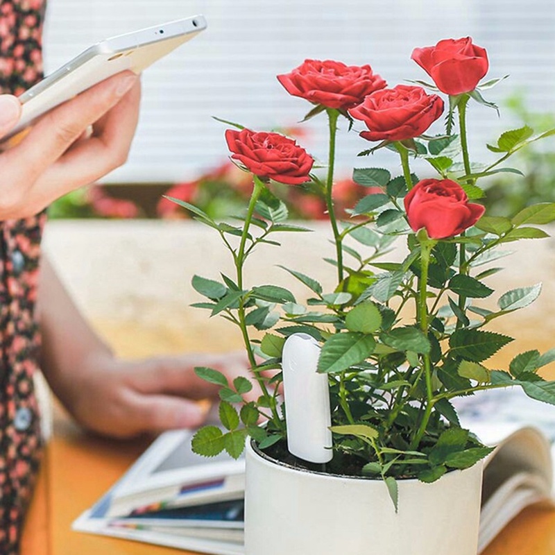 HHCC Flower Monitor Flora Gard - Smart Home Zestaw reseña y precio