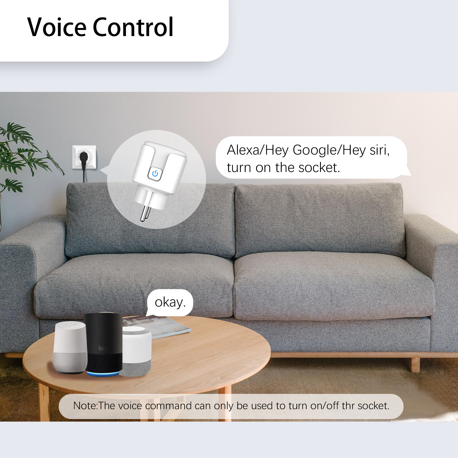 Tuya EU Smart Plug Supports Wi - Smart Home Elements reseña y precio